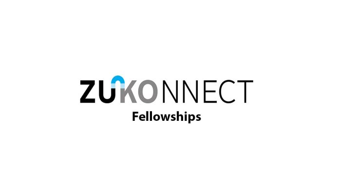 Fully Funded Zukunftskolleg Konnect Fellowships 2023