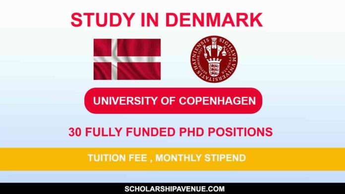 30 Fully Funded PhD Positions at University of Copenhagen